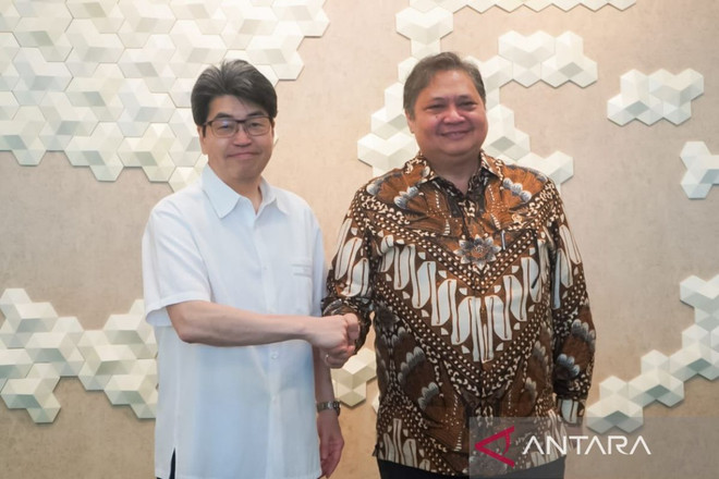 Indonesia, Japan develop new renewable energy ảnh 1