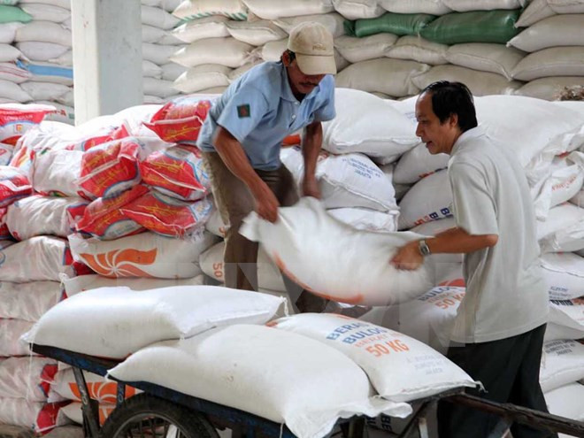 Vietnam’s rice exports fall during January-August ảnh 1