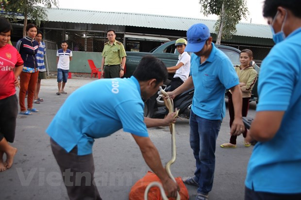 Forest protection forces crack down on country’s largest wildlife market ảnh 4 Forest protection forces crack down on country’s largest wildlife market ảnh 4