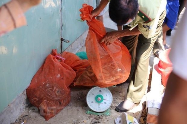 Forest protection forces crack down on country’s largest wildlife market ảnh 2