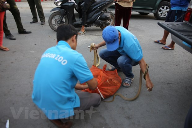 Forest protection forces crack down on country’s largest wildlife market ảnh 7 Forest protection forces crack down on country’s largest wildlife market ảnh 7