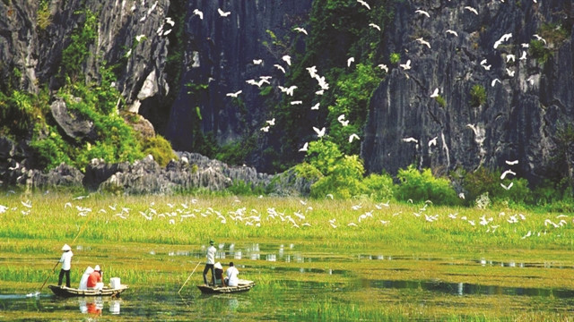 Ca Mau offers respite for the weary soul ảnh 1