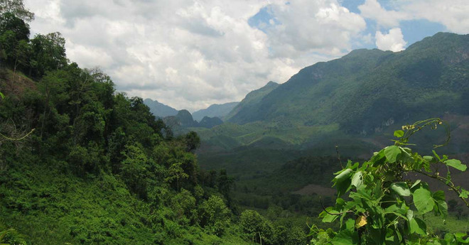 Laos aims to increase forest coverage to 70% by 2035 ảnh 1