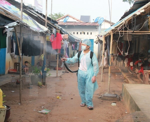Central Highlands step up efforts to curb dengue fever ảnh 1 Central Highlands step up efforts to curb dengue fever ảnh 1