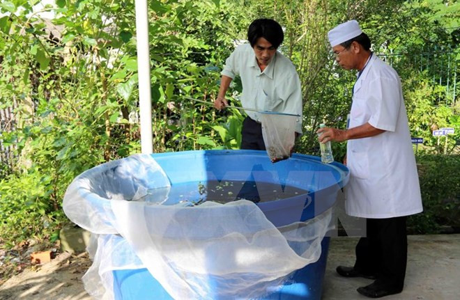 Eight dengue fever prevention teams formed ảnh 1