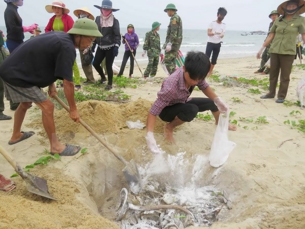 Rice aid comes to affected fishermen in Quang Tri ảnh 1