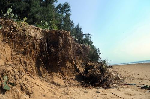 Khanh Hoa tackles coastal erosion ảnh 1
