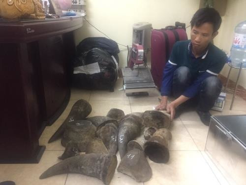 Hanoi police busts major wildlife trafficking ring ảnh 1