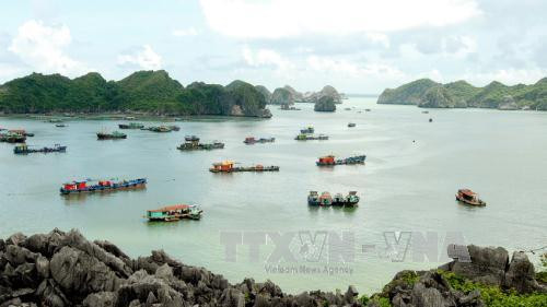 Hai Phong city welcomes 3 million tourists first half of 2017 ảnh 1 Hai Phong city welcomes 3 million tourists first half of 2017 ảnh 1