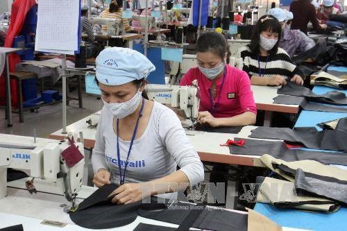 Vietnamese firms urged to find ways to step up EU exports ảnh 1 Vietnamese firms urged to find ways to step up EU exports ảnh 1