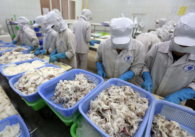 Vietnam’s exports forecast to hit 195 billion USD in 2017 ảnh 1 Vietnam’s exports forecast to hit 195 billion USD in 2017 ảnh 1