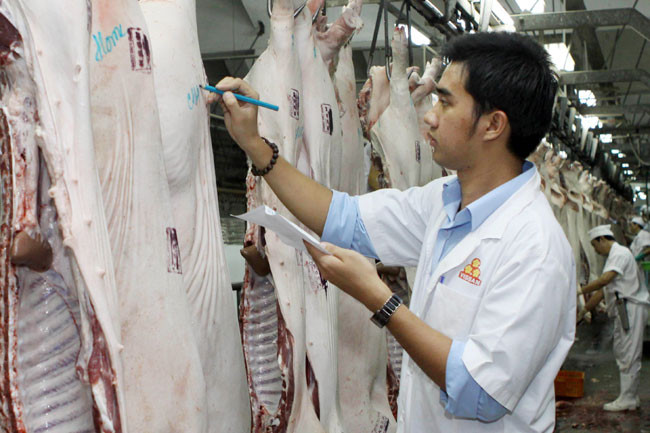Vissan IPO attracts 142 investors ảnh 1