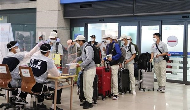 RoK waives quarantine, extends labour contracts for Vietnamese workers ảnh 1 RoK waives quarantine, extends labour contracts for Vietnamese workers ảnh 1