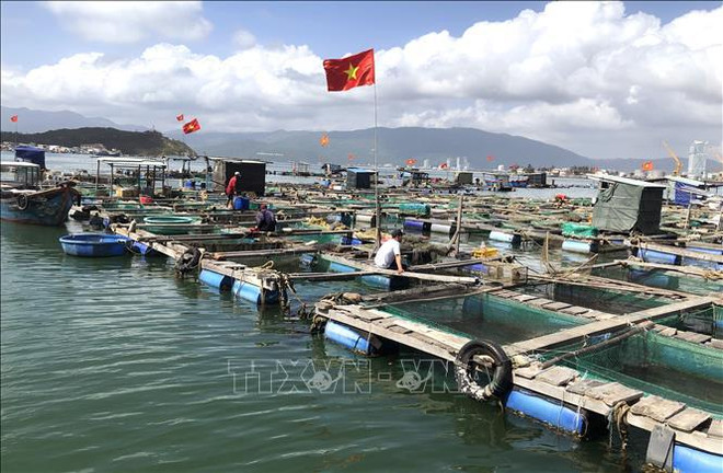 Ba Ria – Vung Tau develops hi-tech aquaculture ảnh 2
