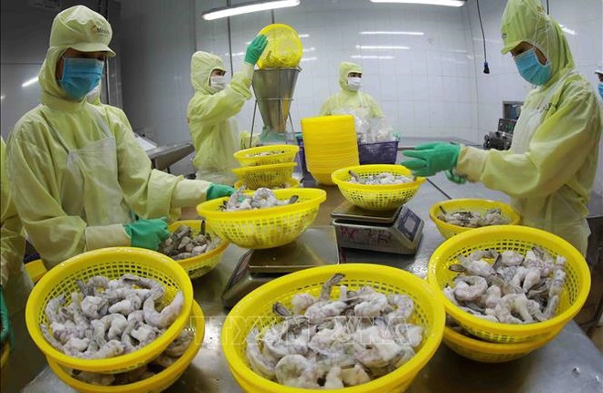 Aquatic exports enjoy 25 percent growth last month ảnh 1 Aquatic exports enjoy 25 percent growth last month ảnh 1