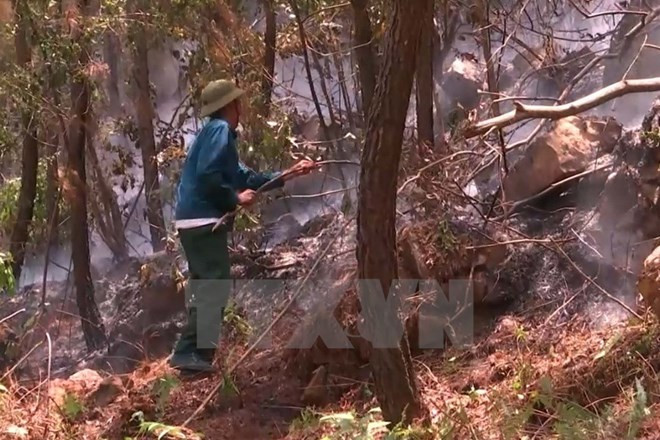 Forest fire warning on high level in many localities ảnh 1 Forest fire warning on high level in many localities ảnh 1