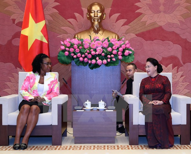 Judicial ties important to Vietnam-Mozambique relations: NA leader ảnh 1 Judicial ties important to Vietnam-Mozambique relations: NA leader ảnh 1