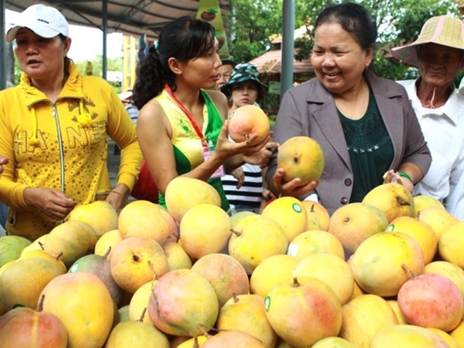 Global food safety forum opens in Ho Chi Minh City ảnh 1