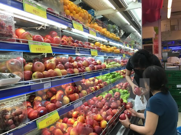 RoK exports to Vietnam surge 50 percent in seven months ảnh 1 RoK exports to Vietnam surge 50 percent in seven months ảnh 1