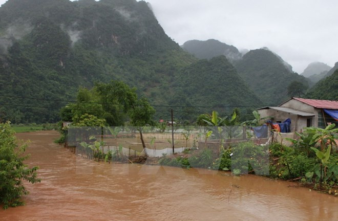 Thanh Hoa builds storm shelter in response to climate change ảnh 1 Thanh Hoa builds storm shelter in response to climate change ảnh 1