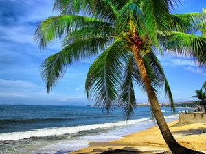 Binh Thuan seeks to lift PCI, improve business climate ảnh 1