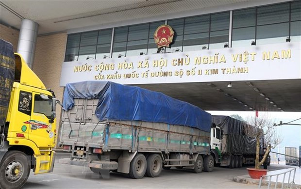 Businesses exporting medicinal herbs to China required to register ảnh 1