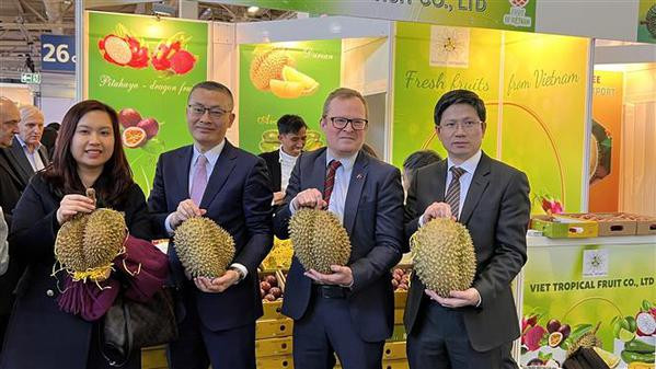 Vietnamese fruits promoted at Berlin exhibition ảnh 1 Vietnamese fruits promoted at Berlin exhibition ảnh 1