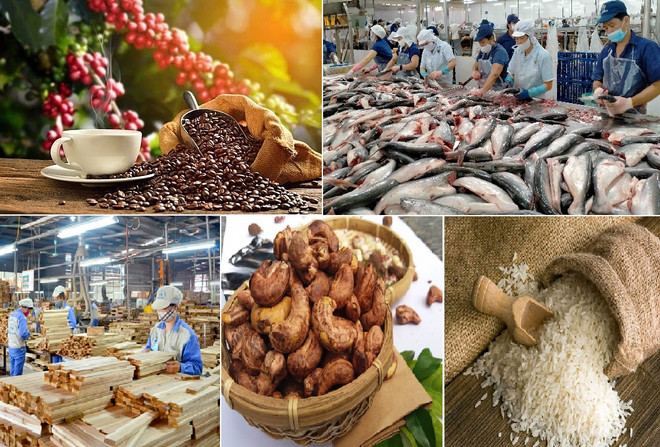 Agro-forestry-fishery exports reach 3.7 bln USD in January ảnh 1
