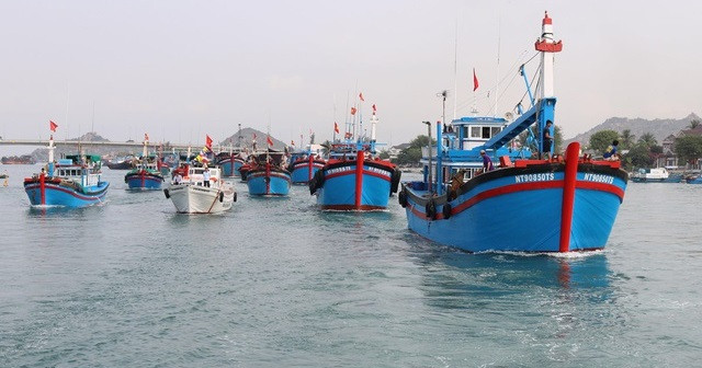 Quang Nam fishermen pledge to implement regulations against IUU fishing ảnh 1 Quang Nam fishermen pledge to implement regulations against IUU fishing ảnh 1
