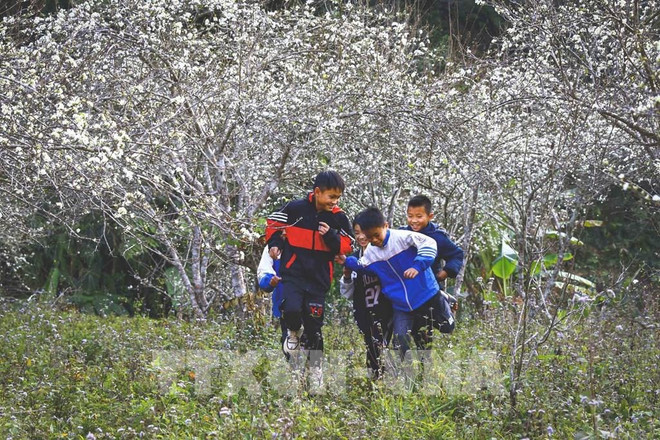 Vietnam promotes tourism to ASEAN market ảnh 1 Vietnam promotes tourism to ASEAN market ảnh 1