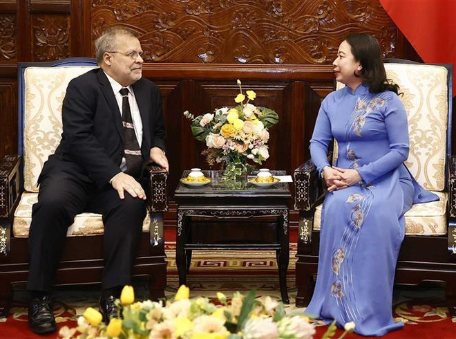 Acting President receives outgoing Brazilian Ambassador ảnh 1 Acting President receives outgoing Brazilian Ambassador ảnh 1