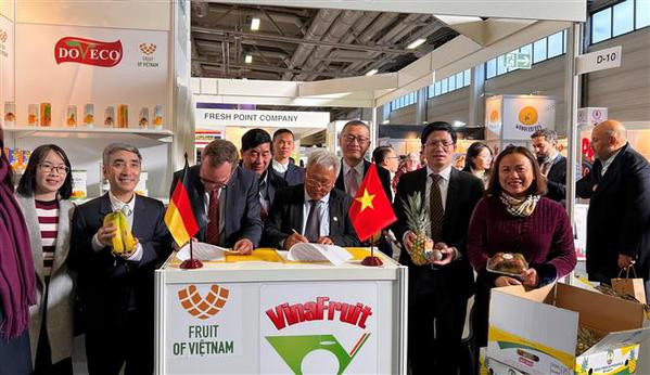 Vietnamese fruits promoted at Berlin exhibition ảnh 2 Vietnamese fruits promoted at Berlin exhibition ảnh 2
