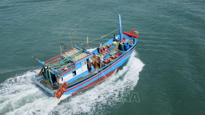 EC acknowledges Vietnam’s efforts in IUU combat: ministry ảnh 2