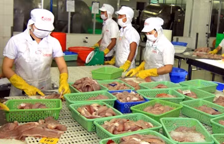 Government eyes diversified exports ảnh 1