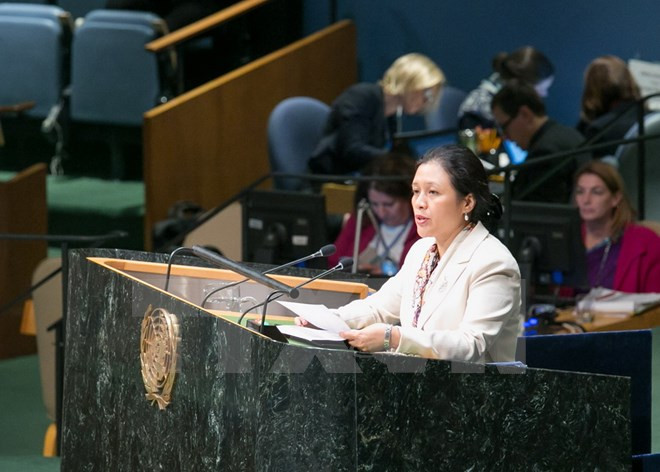 Vietnam affirms commitment to promoting human rights ảnh 1