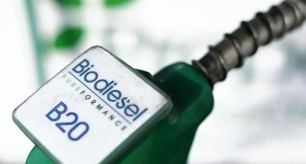 Minister: Indonesia now world’s largest biodiesel producer ảnh 1