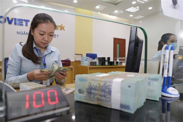 Central bank to keep proactive, flexible monetary policy ảnh 1