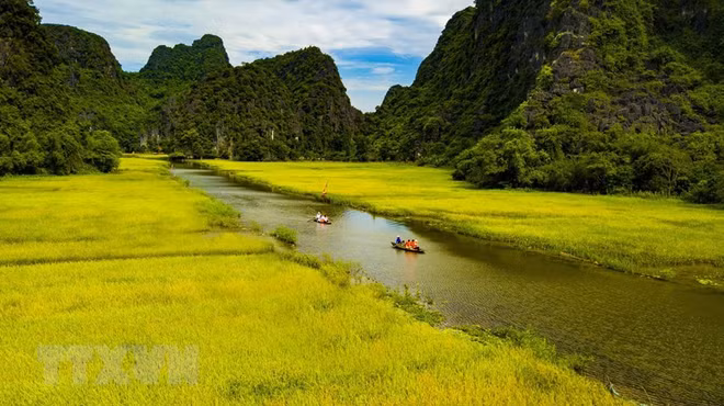 Agritourism brings new sources of income to farmers in Ninh Binh ảnh 4
