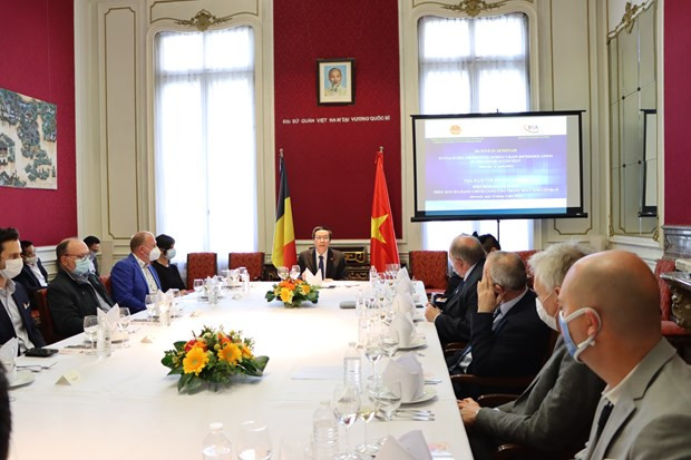 Belgium, Vietnam see growing multifaceted cooperation: Belgian politician ảnh 1