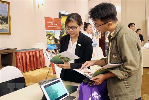 Heritage of central localities on show for HCM City citizens ảnh 1