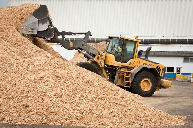 Largest woodchip processing factory in Phu Yen starts operation ảnh 1