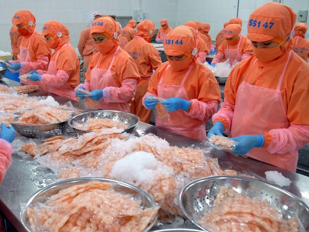 CPTPP – a driver of shrimp export to Canada ảnh 1 CPTPP – a driver of shrimp export to Canada ảnh 1