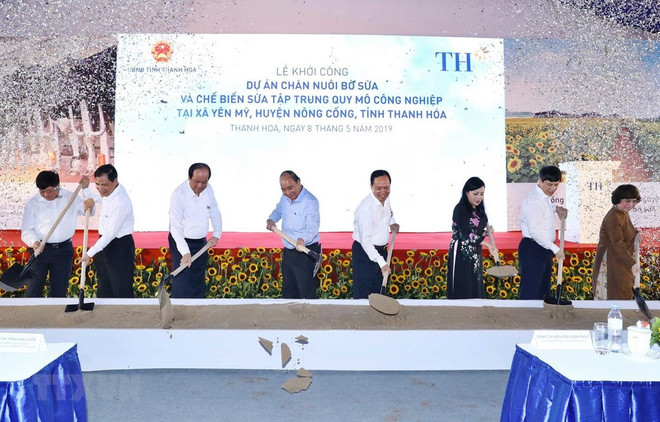 Work begins on TH dairy farm project in Thanh Hoa province ảnh 1 Work begins on TH dairy farm project in Thanh Hoa province ảnh 1