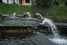Ministry of Finance proposes increasing wastewater fees ảnh 1 Ministry of Finance proposes increasing wastewater fees ảnh 1