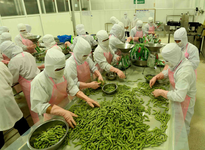 An Giang: Exports grow sharply in four months ảnh 1 An Giang: Exports grow sharply in four months ảnh 1