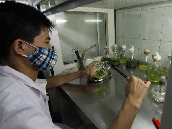 Ministry of Science and Technology initiates start-up atmosphere ảnh 1 Ministry of Science and Technology initiates start-up atmosphere ảnh 1