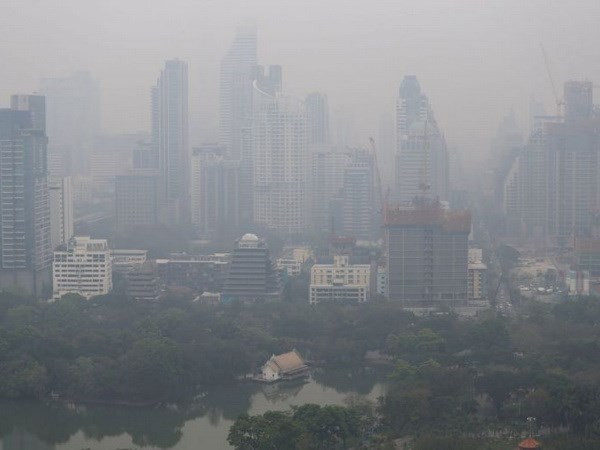 Thailand: Bangkok on alert for air pollution ảnh 1