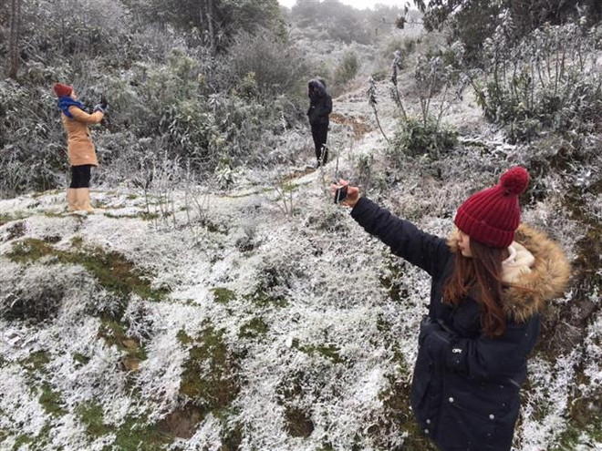 Frost extends in northern region ảnh 2 Frost extends in northern region ảnh 2