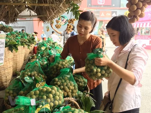 Vietnam may export longans to Australia in 2019 ảnh 1