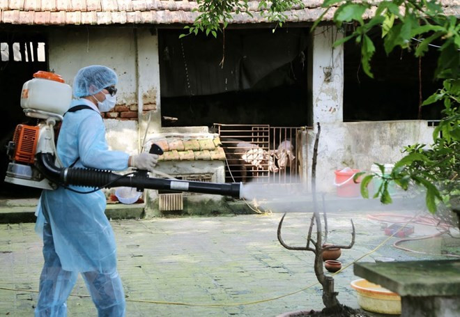 UK helps Vietnam forecast dengue fever epidemic ảnh 1 UK helps Vietnam forecast dengue fever epidemic ảnh 1
